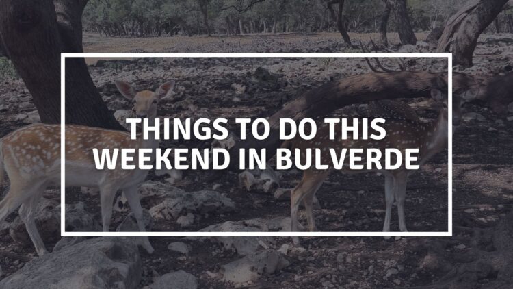things to do this weekend in bulverde