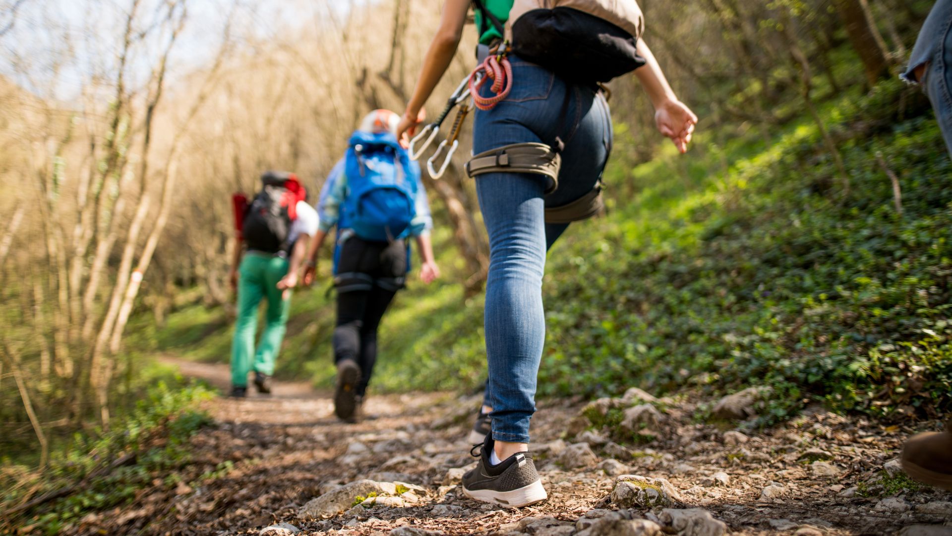 hiking 101 guadalupe river state park