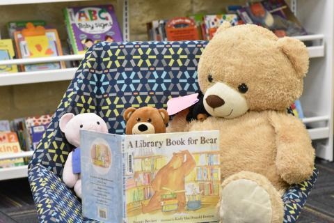Stuffed Animal Sleepover at Mammen Family Public Library
