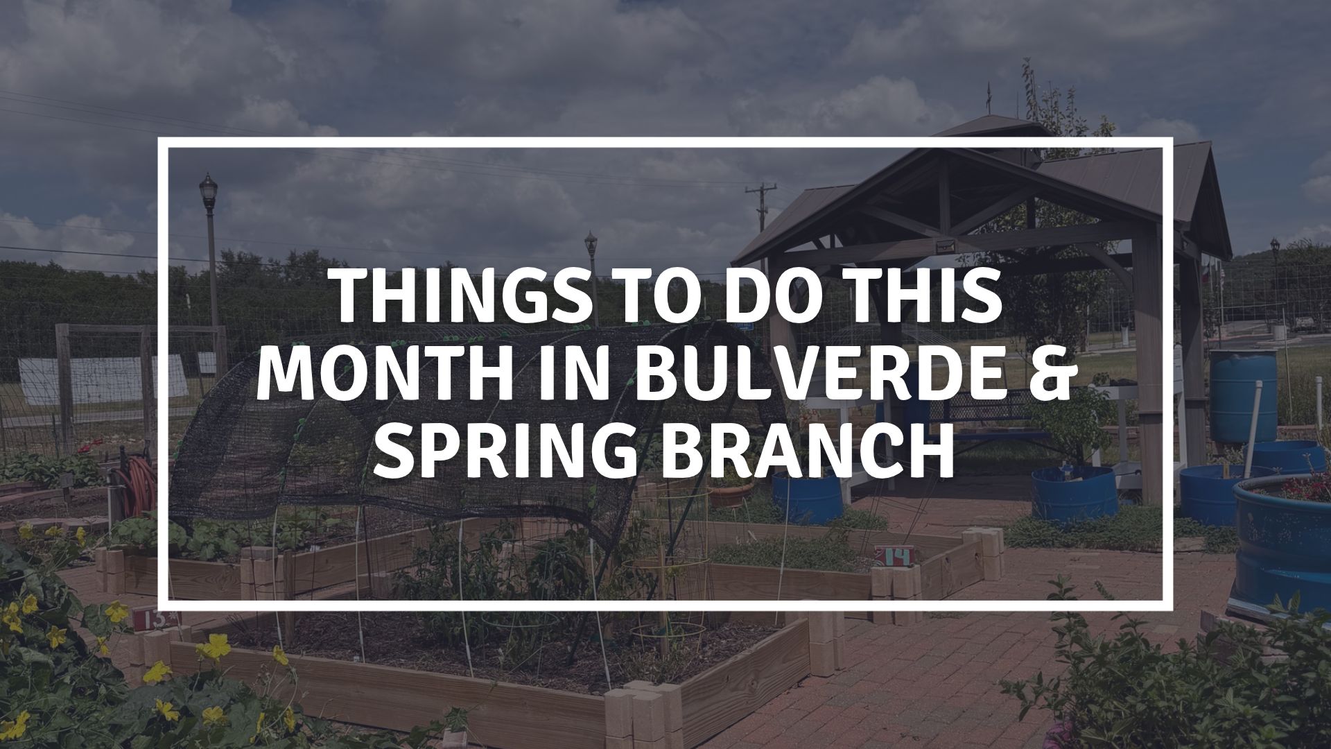 things to do this month in bulverde